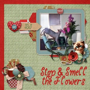 Stop and Smell The Flowers