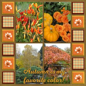 Autumn is my favorite color!-2