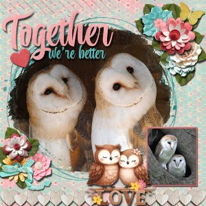 Together we are better