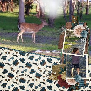 Deer watching