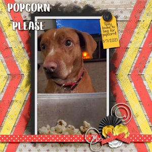 Popcorn Please