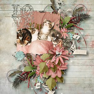 B57_HeartToHeartByKsMskByMBDD600