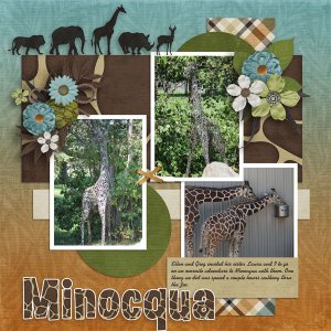 Minocqua_L
