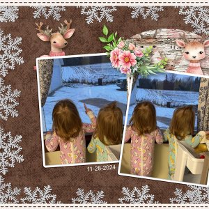Deer_Watching