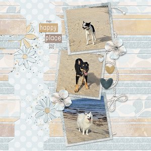 Dogs at the Beach