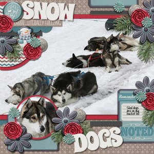 Snow Dogs