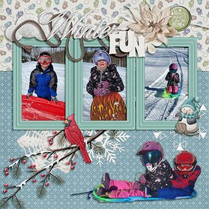 Winter Fun