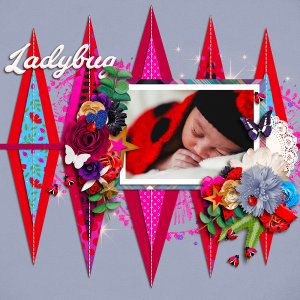 Ladybug