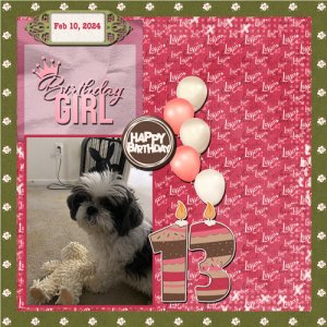 2024-02-10- Daisy birthday 13