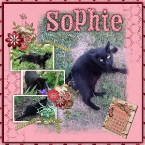 Sophie