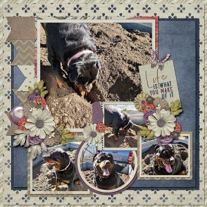 Digging Dawg