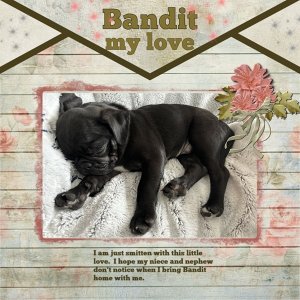 Feb24_UIA