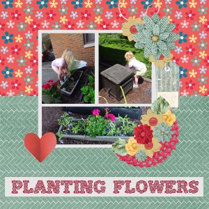 Planting flowers