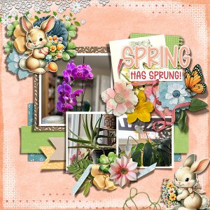 Springtime Plants