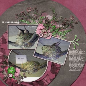 Hummingbirds