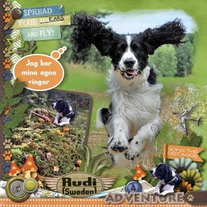 Spread your Ears and Fly