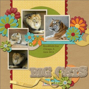Big Cats