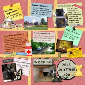 Journal 366, Week 36