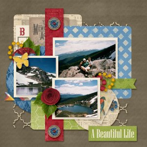 A Beautiful Life