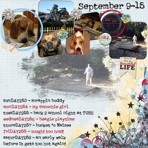 2012 - Week 37