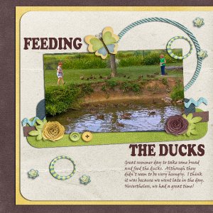 Feeding Ducks