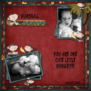 Cute Little Monkey