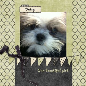 Daisy