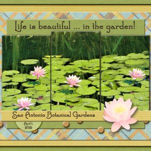 Life is Beautiful ... in the garden!