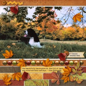 How Beautifully Leaves...