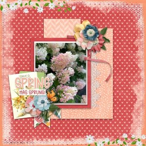 Spring has Sprung