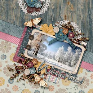 Winterland