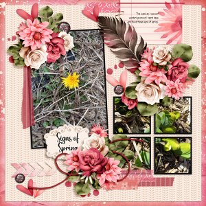 Signs of Spring
