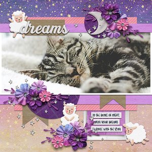 dreams