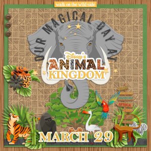 Our Magical Day at Animal Kingdom