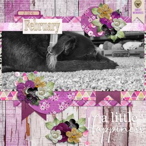 february