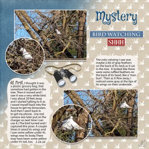 mystery white bird