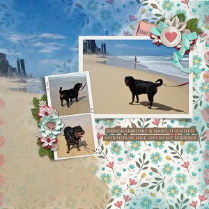 February beach walks