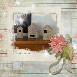 new nesting houses