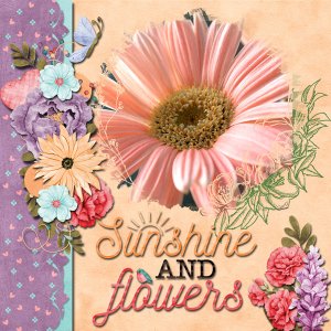 Sunshine and Flowers