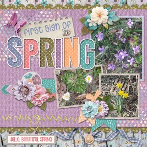 Signs Of Spring