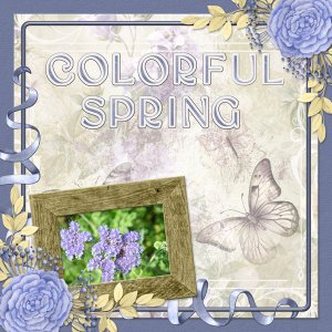 Colorful Spring