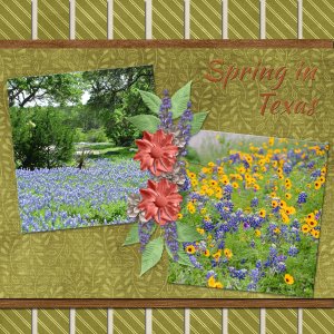 Spring in Texas