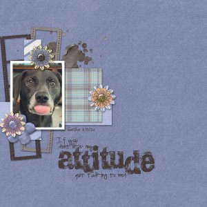 Attitude