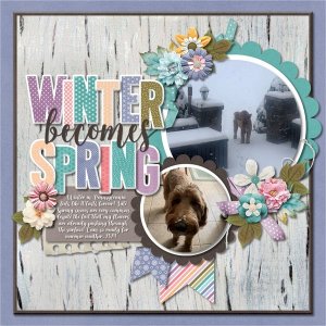 Winter becomes Spring