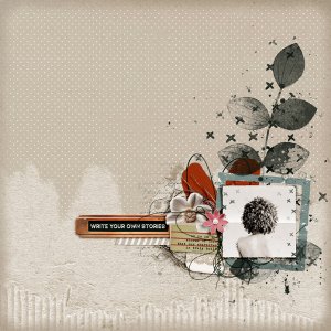 Write Your Own Stories