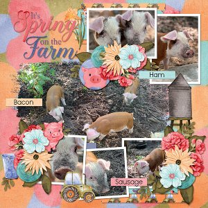 Springtime on the Farm