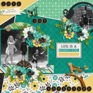 Life is a Beautiful Adventure
