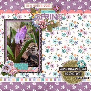 Flowers Bring Hope