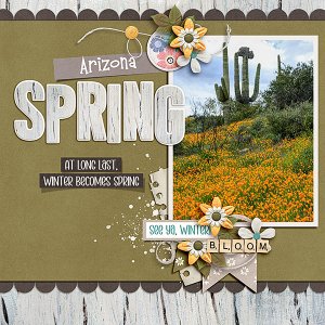 Arizona-Spring