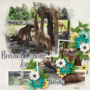 Brevard County Zoo